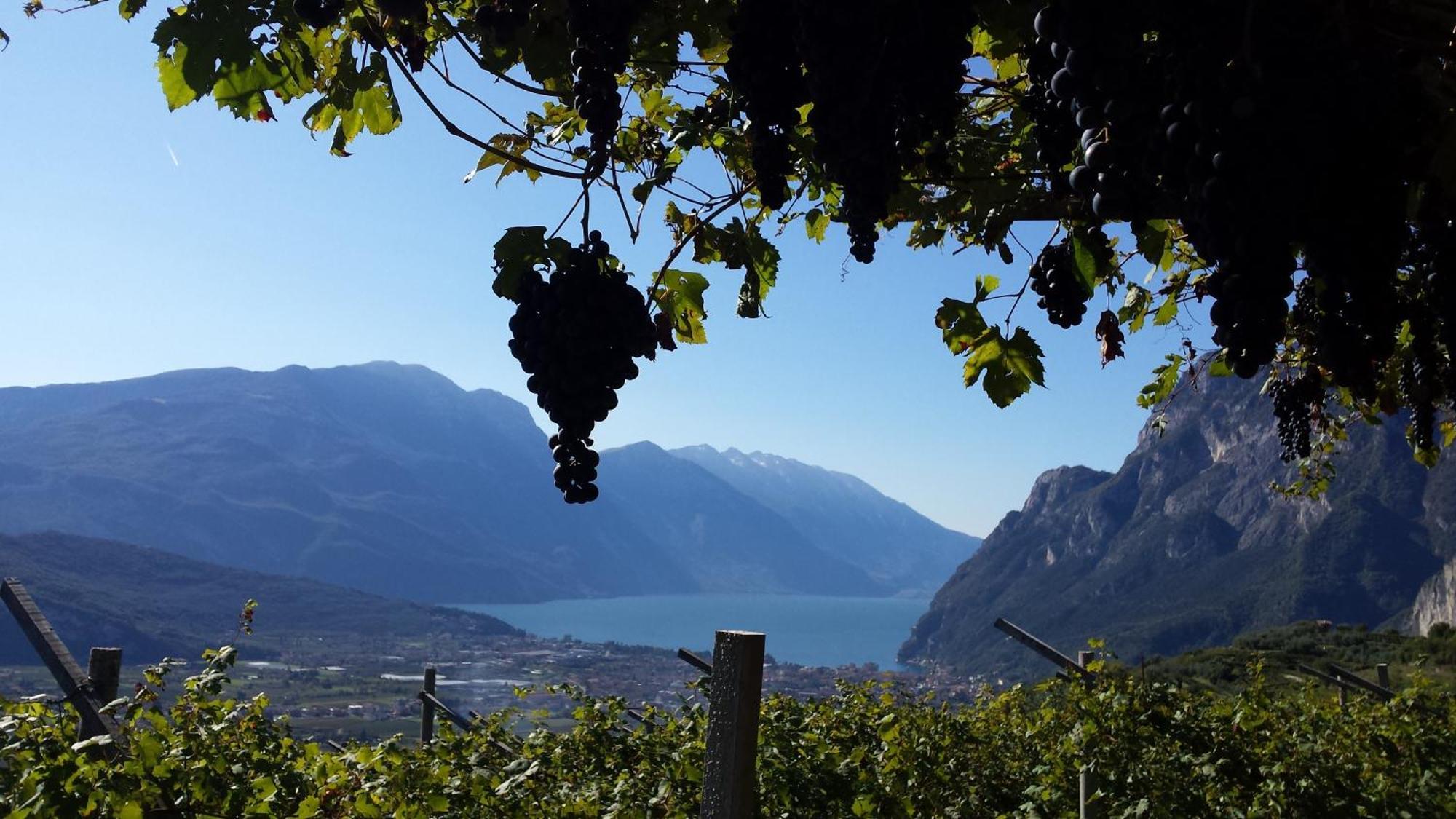Agritur Calvola Villa Tenno Exteriör bild